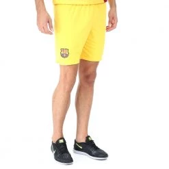 Ανδρικό αθλητικό σορτς NIKE FCB M NK BRT STAD κίτρινο 7 Ανδρικό αθλητικό σορτς NIKE FCB M NK BRT STAD κίτρινο -Πλεκτά-Ζακέτες Εκπτώσεις 1716179.1 5525 2 nike ανδρικό αθλητικό σορτς nike fcb m nk brt stad κίτρινο x1000