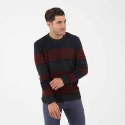 Ανδρικό ριγέ πουλόβερ DORS κόκκινο μπλε