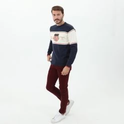 Ανδρικό πουλόβερ GANT G8000127 μπλε λευκό -Πλεκτά-Ζακέτες Εκπτώσεις 1853810.0 0010 4 gant ανδρικό πουλόβερ gant g8000127 μπλε λευκό x1000