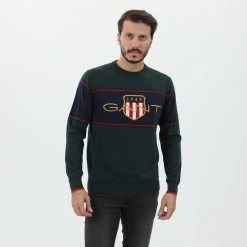 Ανδρικό πουλόβερ GANT G8000127 πράσινο μπλε